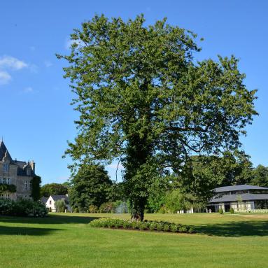 Le manoir et le parc
